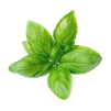 Curry leaves