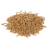 Cumin seeds