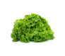 Lettuce