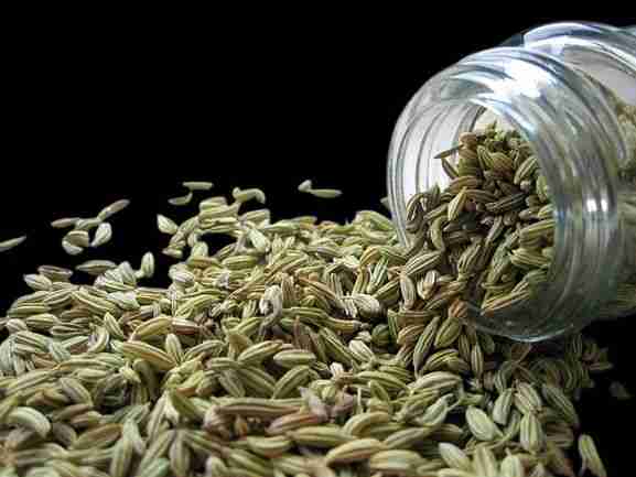 Fennel seeds