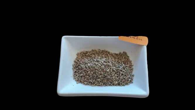 Carom Seeds